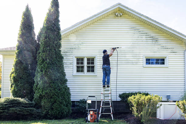 Best Gutter Cleaning  in Merriam, KS